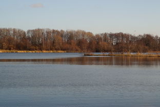 星空体育最新下载-“东安湖体育公园迎来跑酷明星，挑战全新极限”  第2张