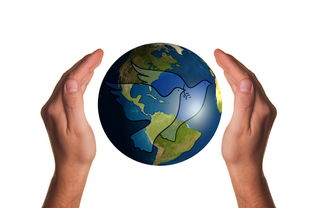 星空入口官网-波兰队赛制分析：如何在团体赛制中保持稳定的表现，波兰球队如何  第2张